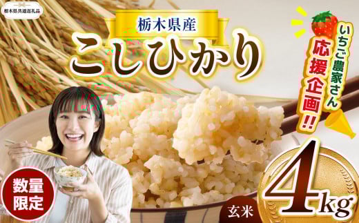 訳あり【令和7年度新米】【栃木県共通返礼品】【数量限定】令和7年度新米 栃木県産コシヒカリ 4kg | 数量限定 こしひかり  玄米 米 ごはん  玄米真空パック ふるさと納税 那珂川町 栃木県