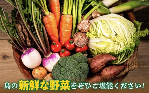 【全3回定期便】旬の野菜 7品《壱岐市》【壱岐市農業協同組合】 [JBO044] 野菜 やさい 旬 季節 セット 詰め合わせ 産地直送 新鮮 サラダ スムージー 定期便   30000 30000円 