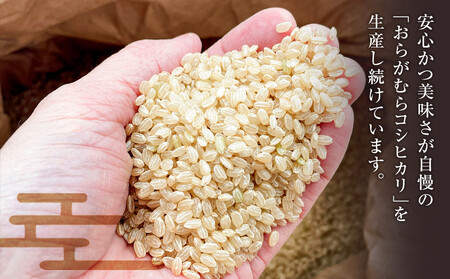 【予約受付】【令和７年米】【新米】長野県宮田村産コシヒカリ／玄米／10kg・20,000円／令和８年2月配送（ コシヒカリ ）