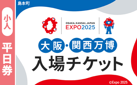 No.155 2025年日本国際博覧会入場チケット 平日券（小人）【島本町返礼品】