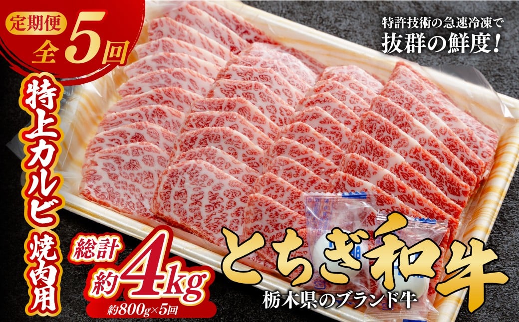 
            ＜定期便5回＞とちぎ和牛の特上カルビ 焼肉用 800g × 5回【栃木県共通返礼品】 |  牛肉 肉 お肉 カルビ 特上 バラ肉 カルビ 焼肉 産地直送 国産 国産牛 和牛 赤身 霜降り 希少 旨味 旨み 熟成 急速冷凍 テクニカン テクニカン社 スキンパック 真空パック 真空包装 コトラミートカルチャ 栃木県 茂木町
          