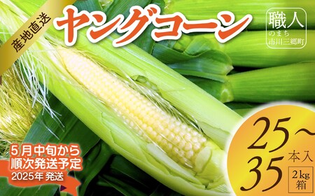 【2025年5月中旬から発送】「ヤングコーン」25～35本入り 2kg箱 株式会社アグリ甲斐（山梨県市川三郷町産） [5839-2217]