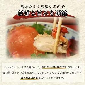 【先行予約】＜2026年11月より順次発送予定＞宮崎県串間市産 特大アサヒガニ1kg_K027-015-01