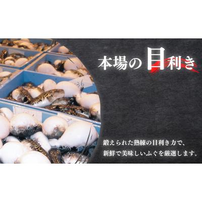 ふるさと納税 下関市 冷蔵 とらふぐ鍋セット 2~3人前 ふぐ松前付 冷蔵 下関 山口 《海(かい):KA》 KA0006 |  | 01