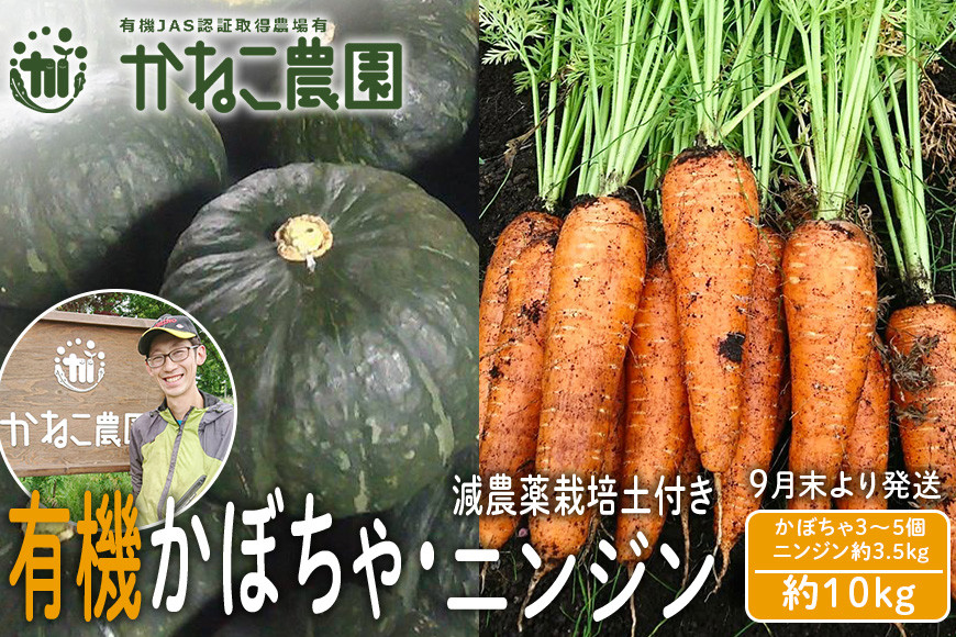 
            【2025年9月末より発送】栽培期間農薬不使用有機かぼちゃ・減農薬栽培土付きニンジンセット【かねこ農園】
          