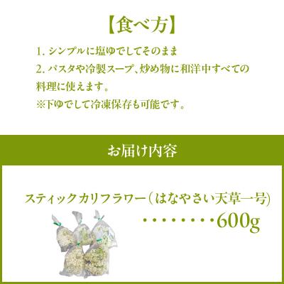 ふるさと納税 天草市 スティックカリフラワー (天草一号)600g_S150-006 |  | 03