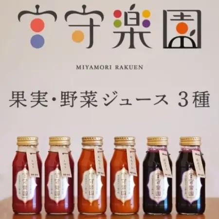 宮守楽園 ジュース 3種  6本 セット / 宮守川上流生産組合 遠野市【1635004】