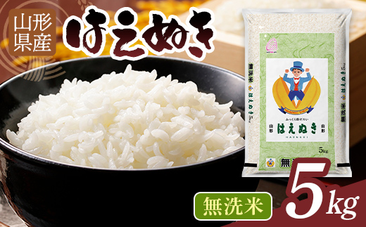 【9月発送】令和7年度 山形県産 はえぬき 5kg 白米 無洗米 ご飯 ごはん 時短 節水 国産 ブランド米 食品 山形県 西川町 月山 FYN1-332