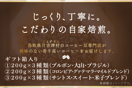 【3回定期便】【コーヒー豆】自家焙煎コーヒー　ギフト箱入り　600g×3回