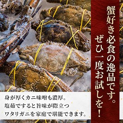 ふるさと納税 小樽市 北海道小樽市産 ワタリガニ　オス・メス各約400g×2尾 合計1.6kg チゲ鍋やパスタに合う! |  | 01