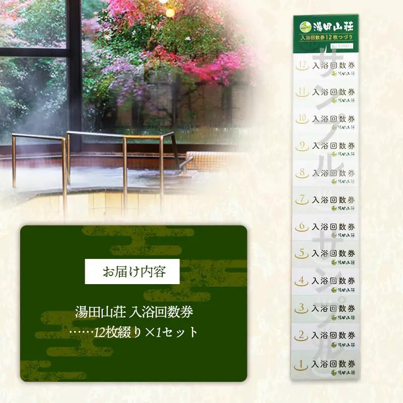 湯田山荘 入浴回数券 12枚綴り×1セット【入浴券 温泉 チケット 100% 天然鉱泉 くつろぎ 癒し リフレッシュ ご褒美 贅沢 旅行 立ち寄り湯 温泉宿 島根県 安来市】【22-ED-01】