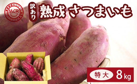
                  【2027年1月発送】 【訳あり】 舞鶴産 熟成さつまいも 8kg （紅はるか） 特大 | べにはるか サツマイモ 薩摩芋 特大さつまいも 越冬 熟成 干し芋 焼き芋 ねっとり 高糖度 無農薬 京都 舞鶴 スイーツ 蜜芋 キュアリング 秋収穫 保存
                