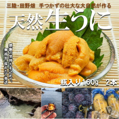 【ふるさと納税】【令和7年6月から順次お届け】　断崖と荒波で育つ岩手・北三陸たのはた　瓶生うに(160g入り2本)【配送不可地域：離島・沖縄県・九州】【1308104】