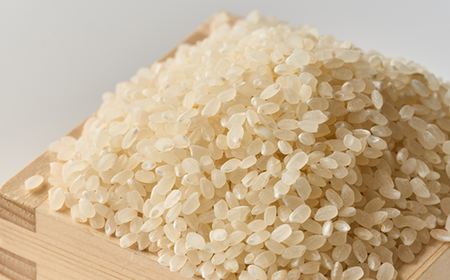 コシヒカリ　いっちょ米(5kg×1袋)_ 精米 米 _【1536092】