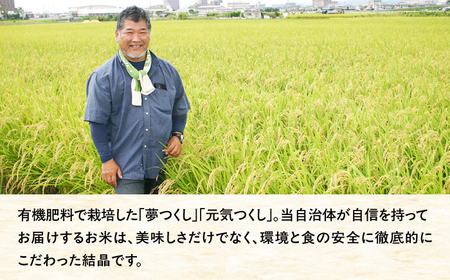 令和7年度産 新米 藤の米(ふじのまい) 10kg(5kg×2袋) ＜フジノ農園＞那珂川市[GCO004]