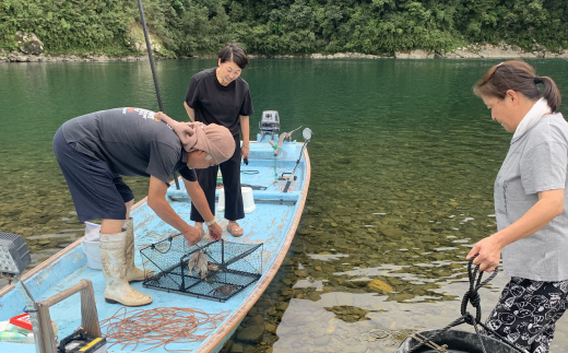 清流 四万十川 天然 モクズガニ 約1kg 濃厚な旨み 大小混合 冷凍 クール 国産 鮮度 魚介類 かに カニ 蟹 つがに ツガニ もくずがに かに汁 だし カニみそ 川ガニ 高知県 四万十市 しまん