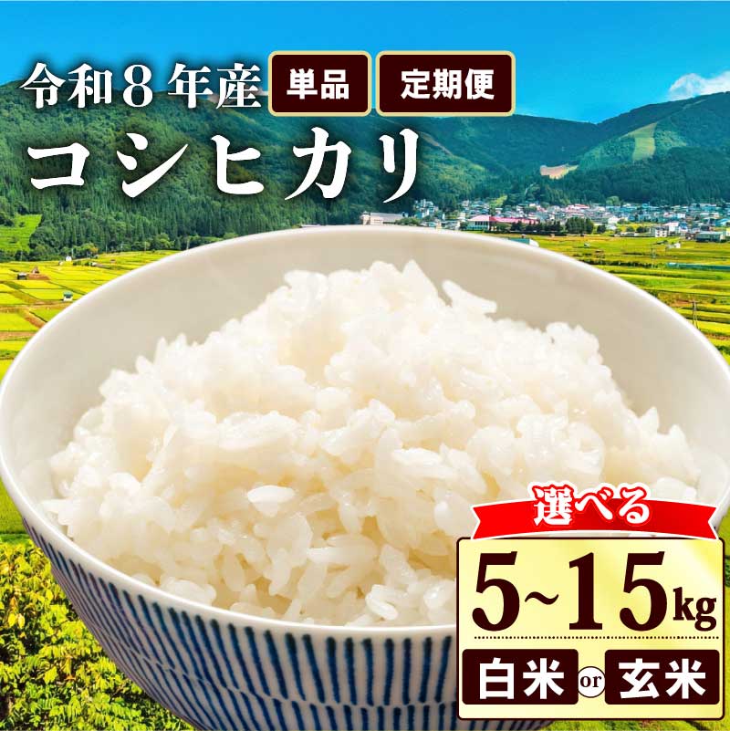 【ふるさと納税】 新米 先行予約 令和8年 こしひかり 選べる容量 白米 玄米 5kg 10kg 15kg 単品 定期便 3ヶ月 6ヶ月 12ヶ月 3回 6回 12回 米 コメ お米 白米 ご飯 コシヒカリ 令和8年産 ふるさと納税米 国産 精米 人気 数量限定 2026年 ギフト 贈物 贈り物 贈答 滋賀 彦根
