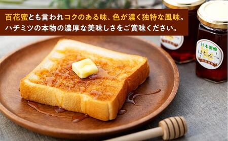 日本蜜蜂のハチミツ100％！はちみつ（2本）  高級 自然食品 無添加 ニホンミツバチ