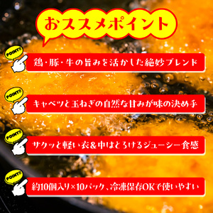お肉屋さんが作った特製ジューシーメンチカツ　約100個入り（480ｇ（約10個入り）×10ｐ）　AO138