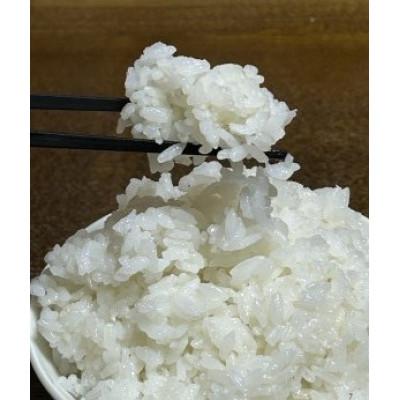 ふるさと納税 つくば市 にじのきらめき白米 10kg×1袋