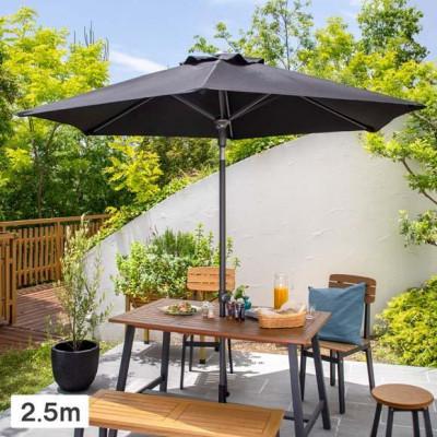 ふるさと納税 海南市 EGプッシュパラソル 2.5m ブラック　33064500