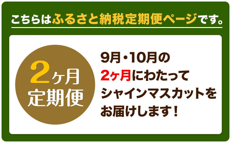 高級 シャインマスカット 2ヶ月 定期便 [2025年先行予約] ぶどう 晴王 2房 2.4kg 岡山県産 《9月上旬-10月末頃出荷(土日祝除く)》 ハレノフルーツ マスカット 送料無料 岡山県 浅