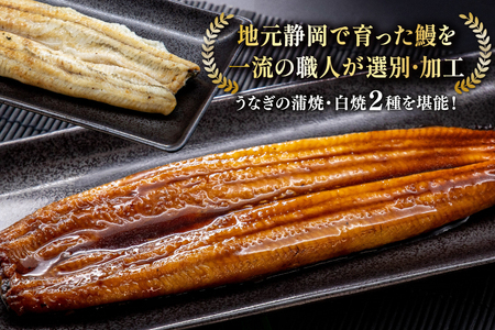 うなぎ 静岡県産 鰻2尾 約160g×2 蒲焼1尾 白焼1尾