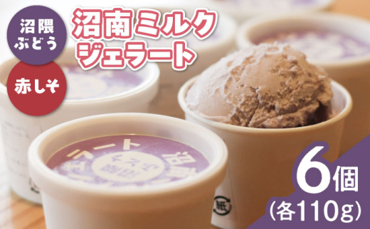 アイス 沼南ミルクジェラート 沼隈ぶどう＆赤しそ 各3個 食べ比べセット ぶどう ブドウ 赤しそ ジェラート セット アイスクリーム デザート スイーツ ご当地 ニューベリーA フルーツ ゆかり グルメ お取り寄せ お土産 食べ比べ 食後 冷凍 贈答 贈り物 濃厚 さっぱり ミルク 味わい 新鮮 果物 特産品 美味しい おいしい 贅沢 カップアイス 広島県福山市/甚ごろう [BAEC045]