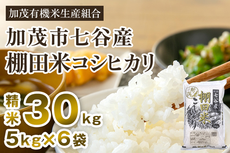 
            【令和7年産新米先行予約】新潟県加茂市 七谷産 棚田米コシヒカリ 精米30kg（5kg×6） 《10月中旬から順次出荷》 白米 加茂有機米生産組合
          
