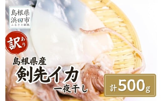 訳あり】 訳あり品でも味は正規品 島根県産剣先イカ一夜干し 計500g（5～10枚） いか 剣先いか ケンサキイカ 干物 一夜干し 訳あり 魚介 贈答 ギフト 【005_2078】