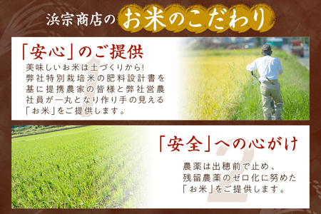 無洗米／	京都・丹後コシヒカリ 無洗米 5kg ＜創業1720年老舗米問屋がお届けする 無洗米 ＞ 作り手が見えるコシヒカリを無洗米に！ 米 無洗米、新米 無洗米、令和6年産 無洗米、お米 無洗米、こ