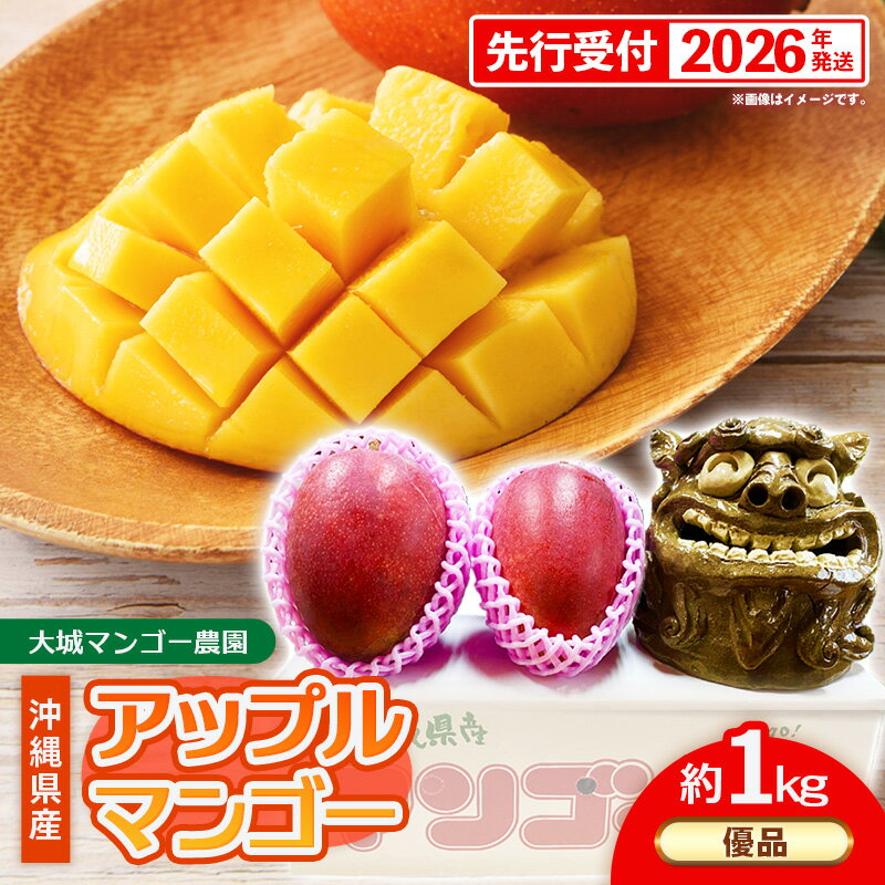 【ふるさと納税】【先行受付】【2026年発送】大城マンゴー農園 マンゴー 優品 約1kg - 先行予約 アップルマンゴー 沖縄 産地直送 南国フルーツ 旬の味覚 贈り物 ギフト オススメ 沖縄県 八重瀬町