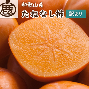 家庭用 たねなし柿 約1kg【AQ-ikd725】