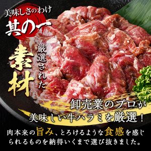 ＜定期便・全12回 (毎月の発送)＞塩味 牛ハラミ(総量7.2kg) 定期便 小分け 牛肉 肉 ハラミ 牛はらみ 味付け 焼肉 塩 BBQ 冷凍 大分県 佐伯市【DH326】【ネクサ】
