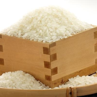 ふるさと納税 大潟村 令和7年産　特別栽培米あきたこまち　白米2kg |  | 01