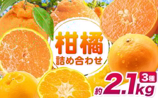 柑橘王国和歌山の柑橘食べ比べ 約2.1kg(約700g×3袋)計3種入り【2026年先行予約】《2026年2月上旬-3月末頃出荷》和歌山県 紀の川市 ミカン 柑橘類 せとか 不知火 はるみ お取り寄せ フルーツ 果物