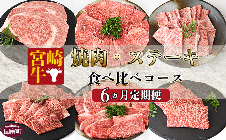 ★6か月定期便★牛肉 定期便 ステーキコース 入金確認後、1～3か月以内に第１回目発送