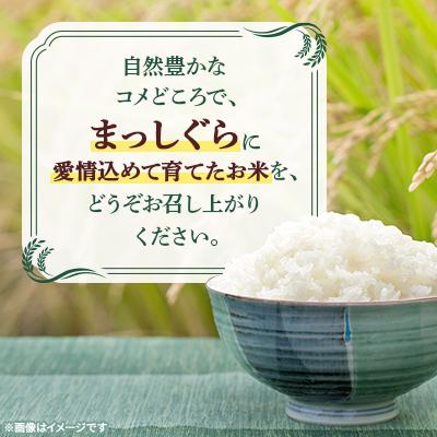 ふるさと納税 十和田市 (新米!)【令和7年産】十和田市産米「まっしぐら」精米 5kg |  | 03