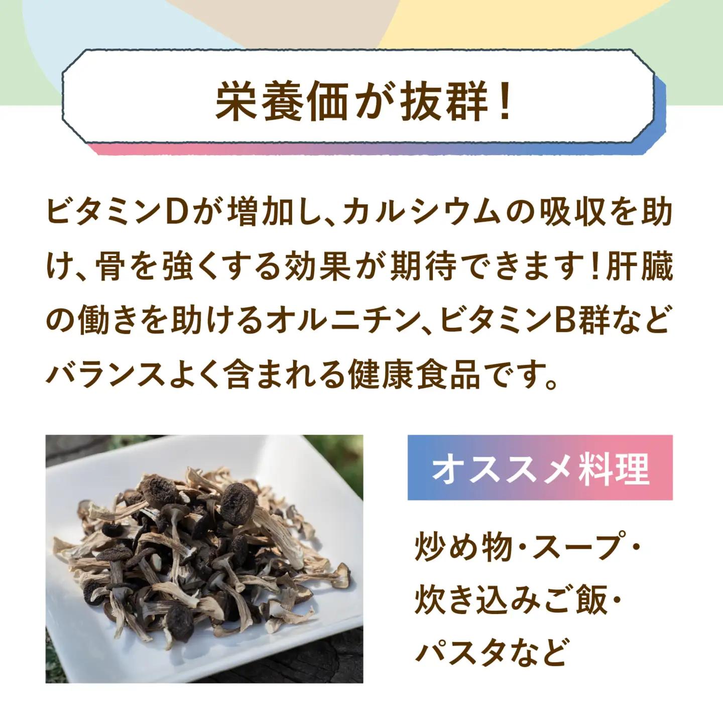  ＼ ドライぶなしめじ ／ 20g　1袋 （Bz-001）きのこ