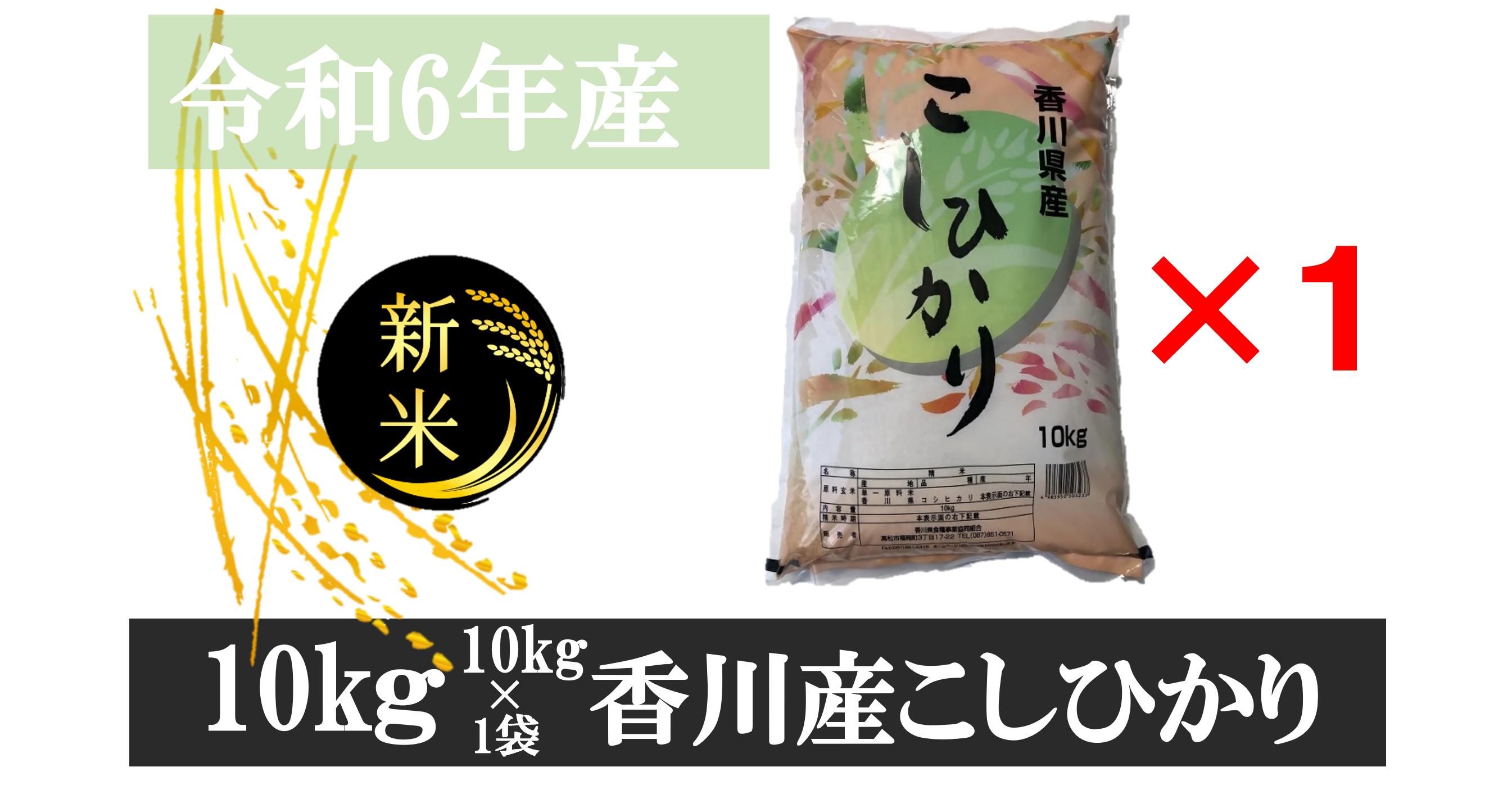 
996　令和6年産香川県産こしひかり　10ｋｇ×1　紙袋配送
