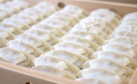 花餃子110個(22個入×5袋）2ヶ月毎6回お届け 加工品 惣菜 冷凍餃子 ヘルシー おかず つまみ 中華 お酒のあて 夕飯 餃子パーティー ビールのつまみ 