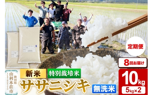 《令和8年産 新米》《定期便8ヶ月》【無洗米】特別栽培米 ササニシキ 10kg（5kg×2袋） 秋田県産 [ササニシキ 新米 米 お米 こめ 無洗米 ブランド米 食卓 おにぎり 秋田県産 秋田]