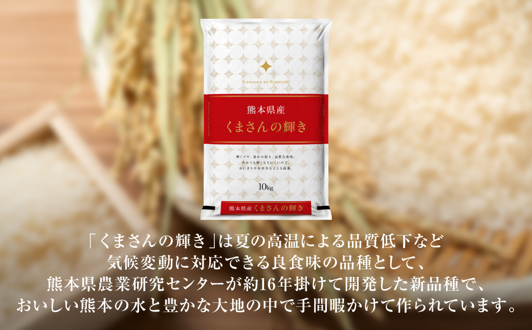 【先行予約】 【令和7年産】 ≪新米≫ 熊本県産 くまさんの輝き10kg （5kg×2袋） オリジナルパッケージ 【2025年11月上旬より順次発送】