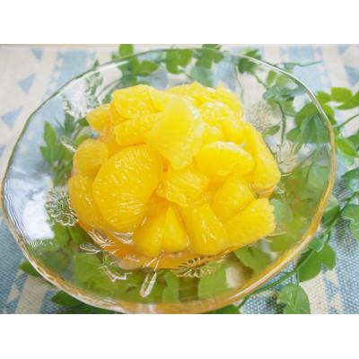 ふるさと納税 かつらぎ町 和歌山県産　八朔缶詰(身割れ)425g×12缶セット |  | 01