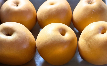 和梨 新高 自家用 約5kg 令和7年度 [三条ファームWIN] 【010S839】