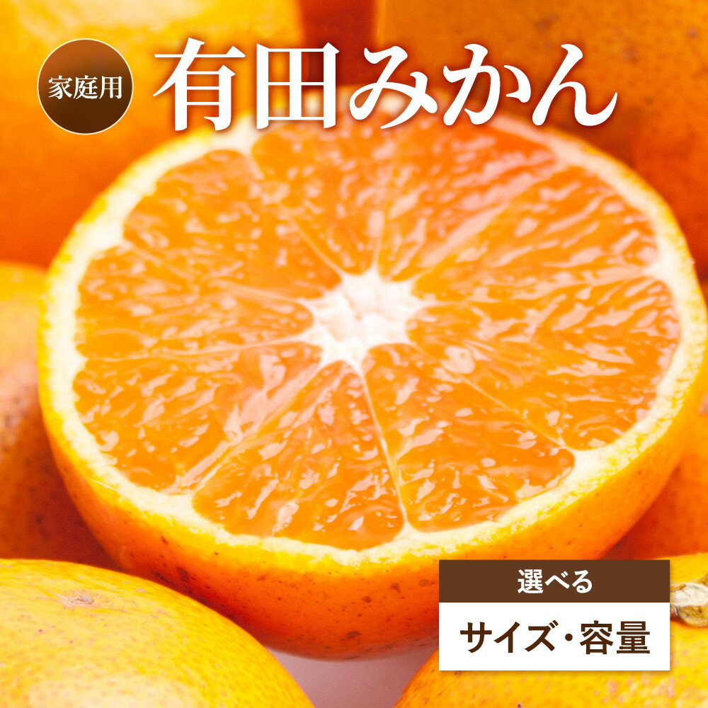 【ふるさと納税】【選べるサイズ／容量】家庭用 有田みかん2.5～10kg+250g（傷み補償分）［2026年10月初旬より順次発送予定］［IKE223］ | みかん 有田 ご家庭用 訳あり 柑橘 柑橘類 フルーツ 果物 くだもの 食品 人気 おすすめ 送料無料 わけあり 光センサー 選果