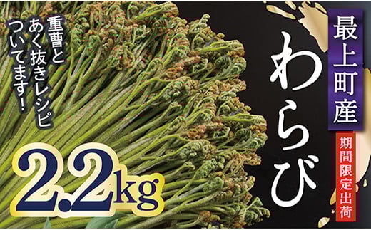 
            【期間限定】 最上町産わらび2.2㎏
          