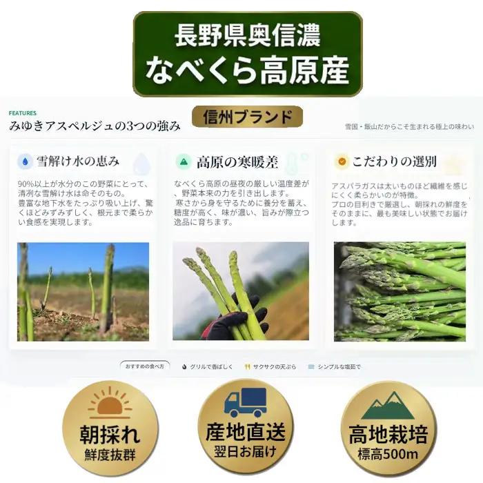 【令和9年産先行予約】アスパラガス みゆきアスペルジュ 2Lサイズ 1kg入り(16〜18本)《出荷時期：2027年5月中旬頃〜》株式会社ForestDoor  (Ce-006)