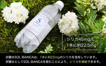 【全8回定期便】シリカ炭酸水 ソルビアンカ 500ml×24本 日田市 / 株式会社OTOGINO[AREF107]