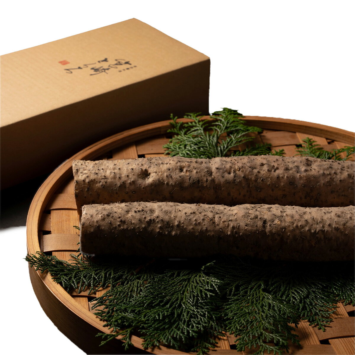 【ふるさと納税】＜選べる容量＞筥崎とろろ 自然薯のだしわりとろろ 計250g〜1kg｜筥崎とろろ 自然薯 とろろ 出汁割り だしわりとろろ 九千部朱薯 福岡県 那珂川市